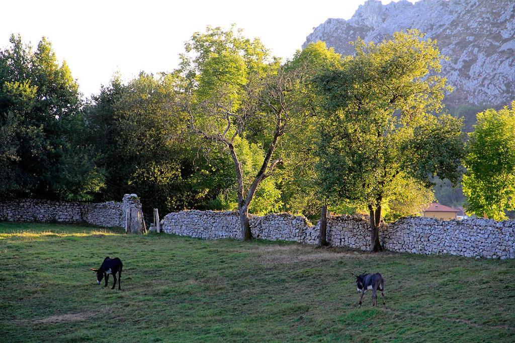 Apartamentos Rurales "Les Escueles De Collia" Bagian luar foto